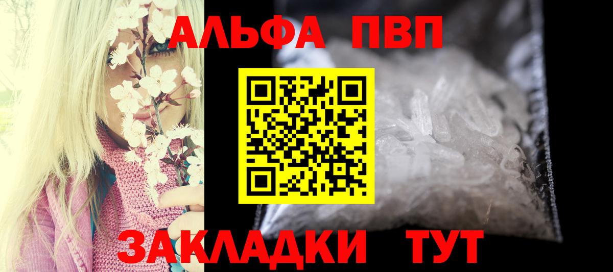 Alfa_PVP СК КРИС Балтийск