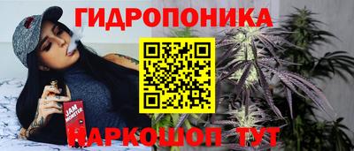крисы Ливны