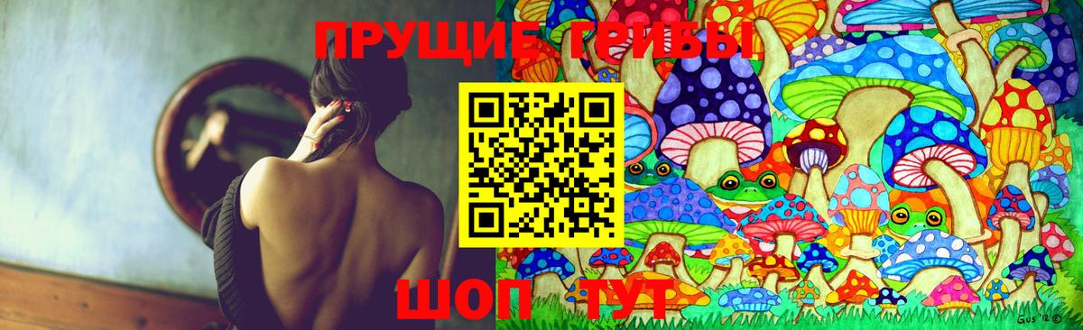 Галлюциногенные грибы прущие грибы  Вход с VPN  закладка  Галлюциногенные грибы мухоморы  Балтийск 